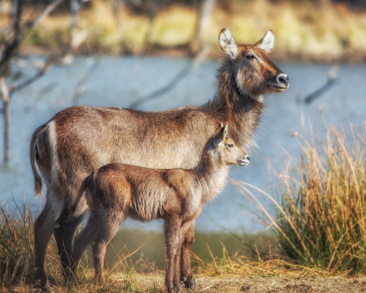 Happy Mother’s Day!