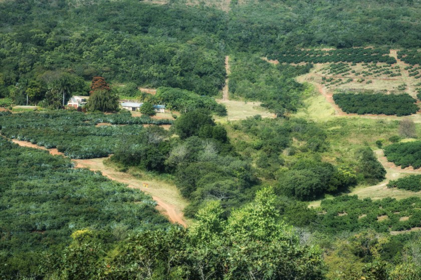 20170605-DSC_5842-bewerkt