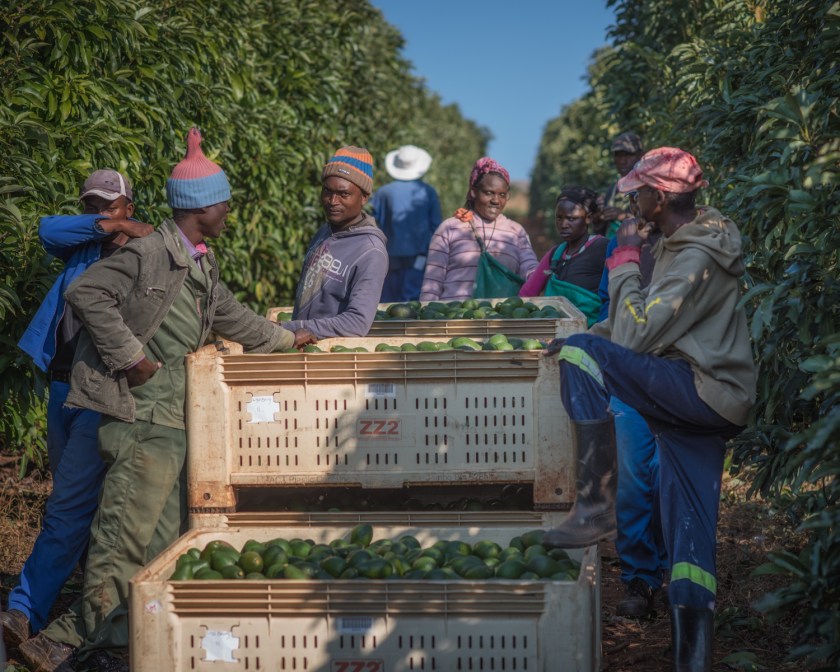 20170607-DSC_5976-bewerkt