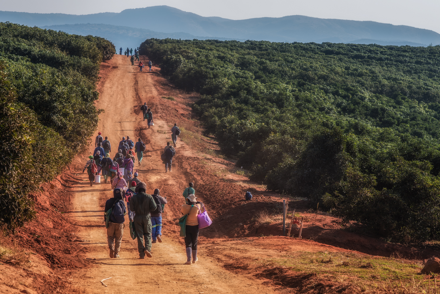 20170607-DSC_5987-bewerkt