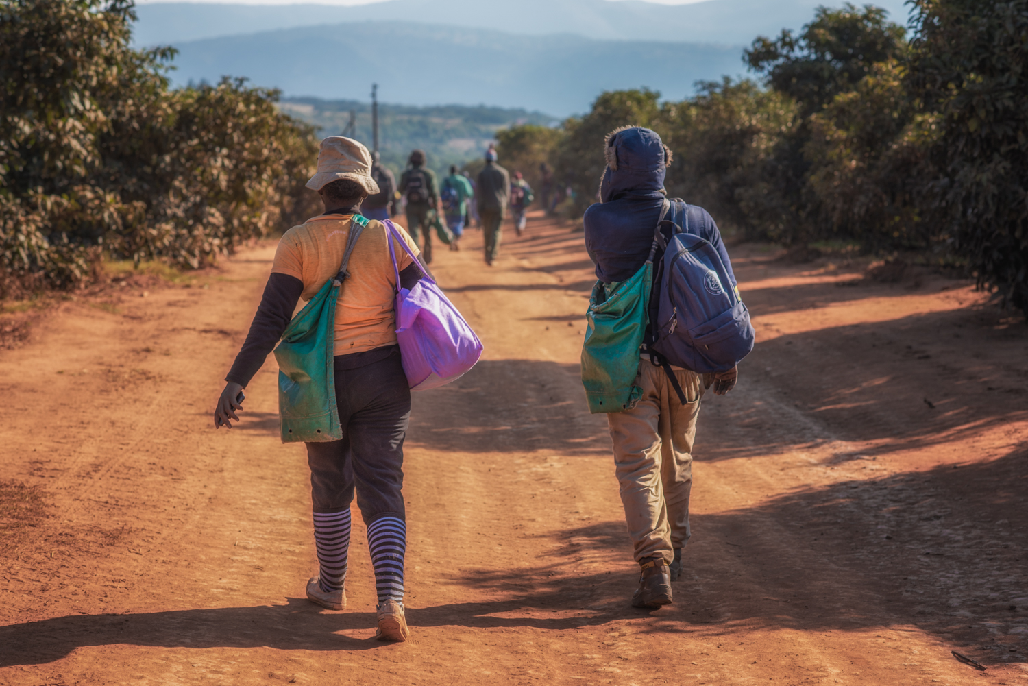 20170607-DSC_5989-bewerkt