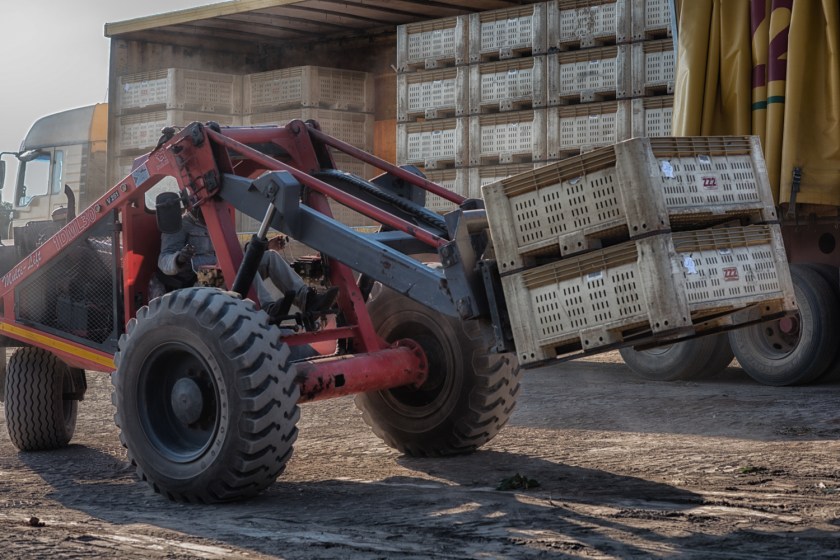 20170607-DSC_5992-bewerkt