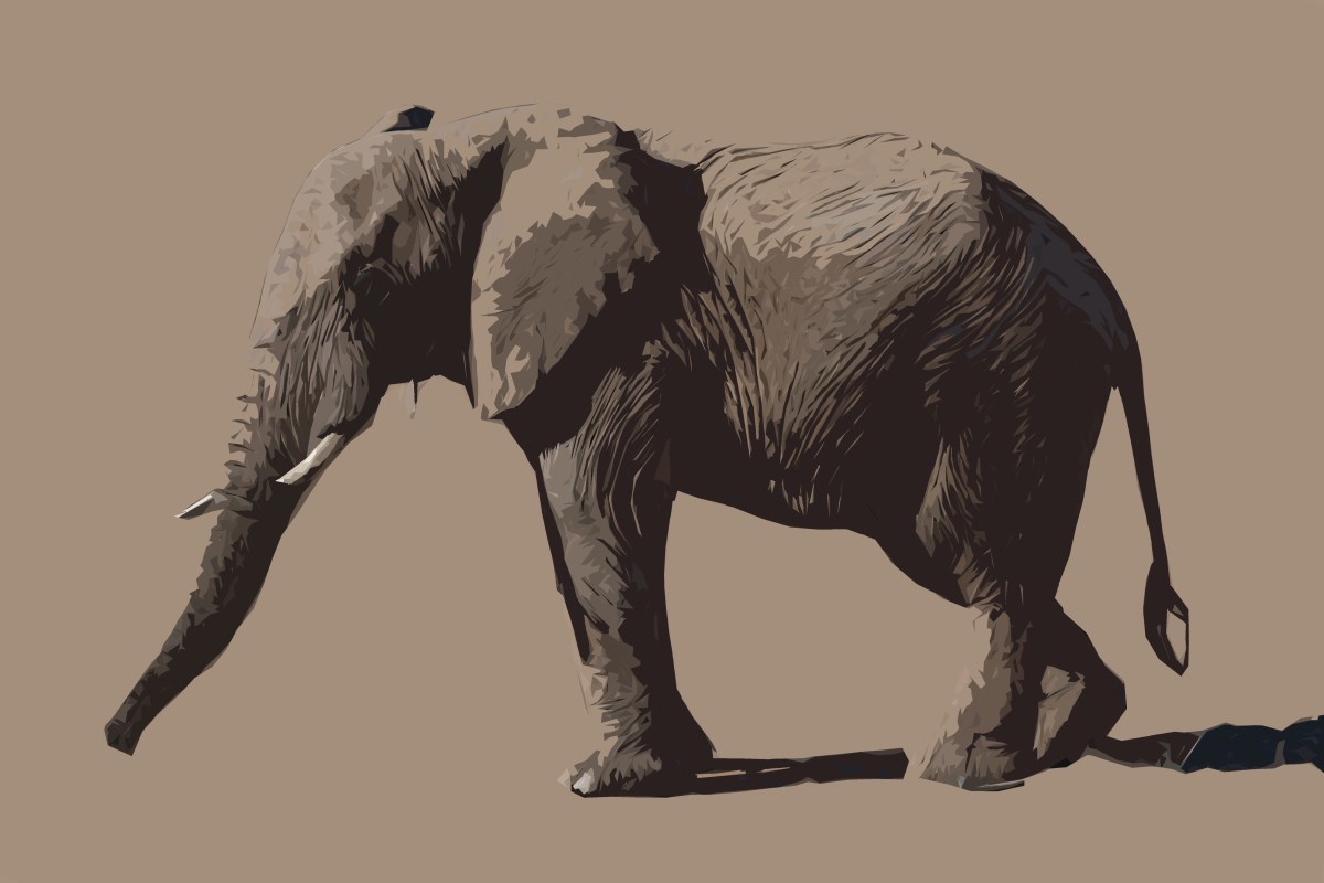 Elephant