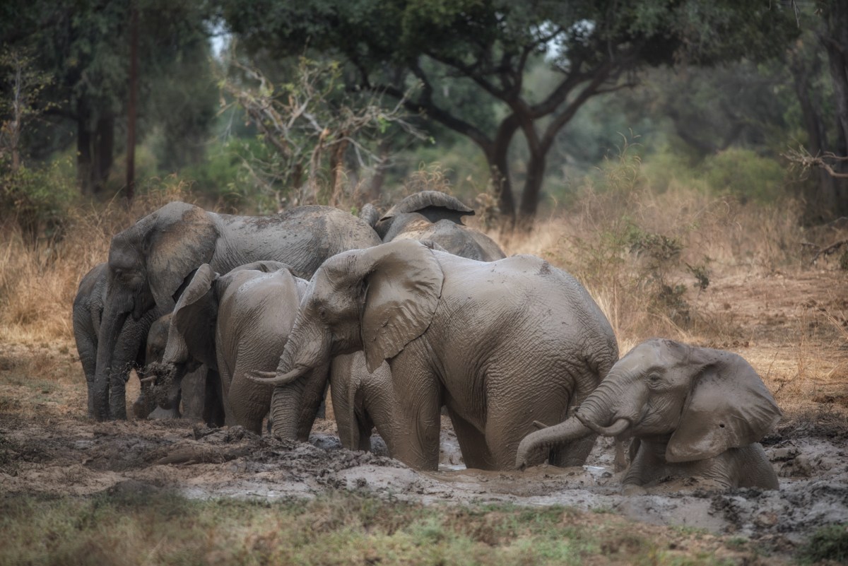 Time for a&nbsp;bath!