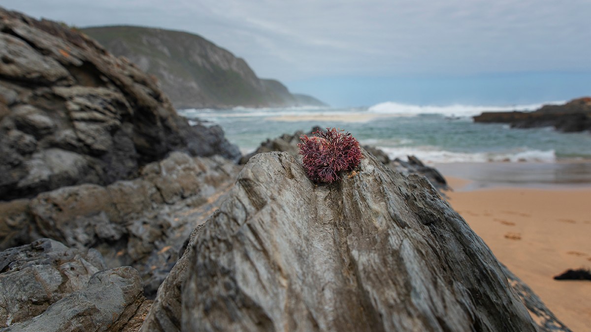 The colours of a stormy&nbsp;beach