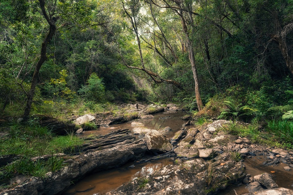 Faith in the&nbsp;water