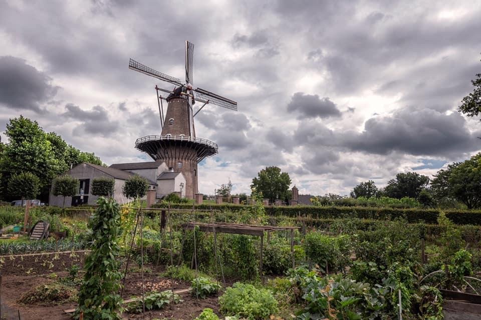 Plans and actualities