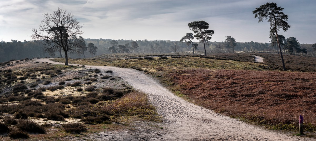 Stitching landscapes