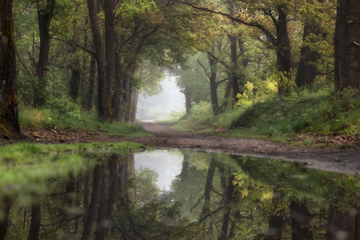 Just a perfect&nbsp;day