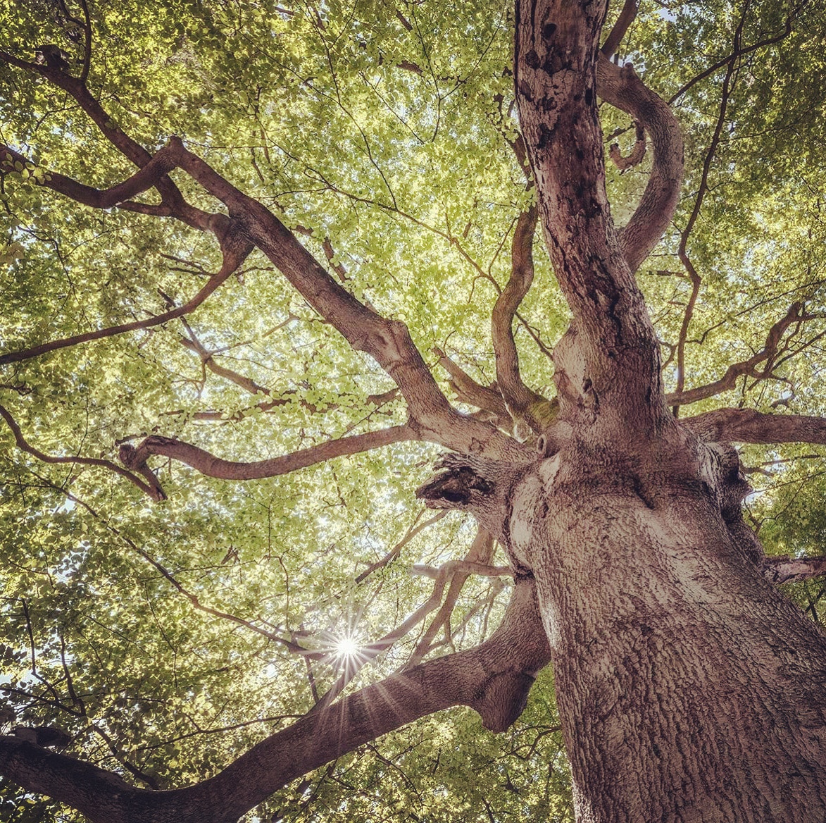 Here comes the&nbsp;sun!