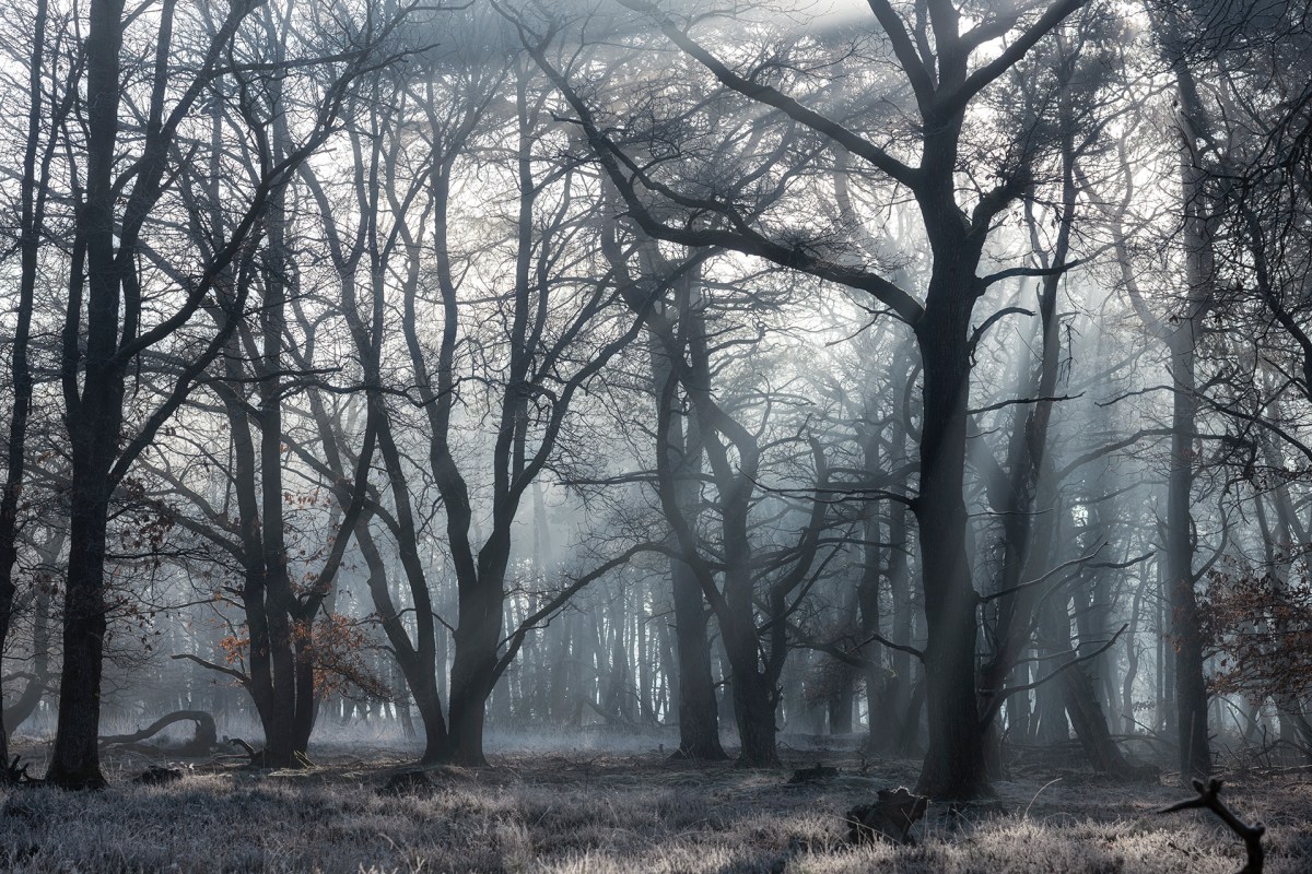 Back in the&nbsp;game!