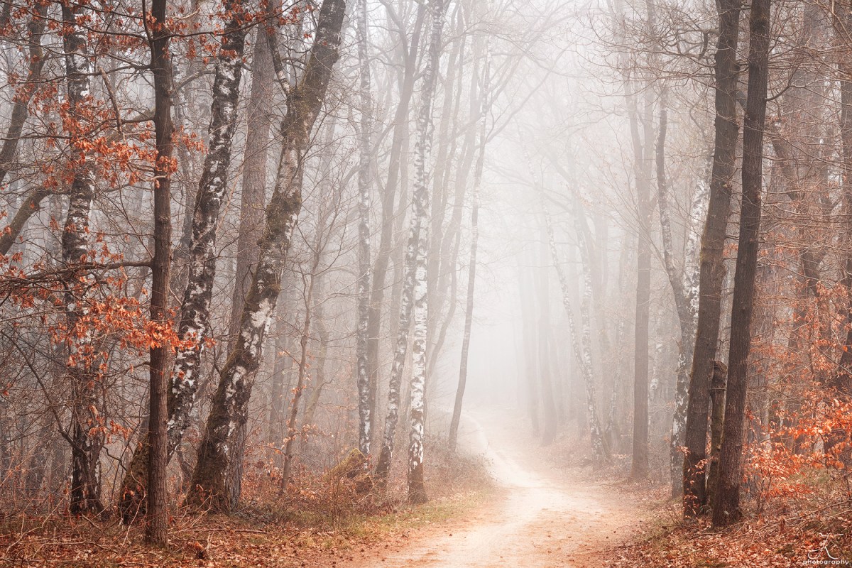 Waiting for spring…