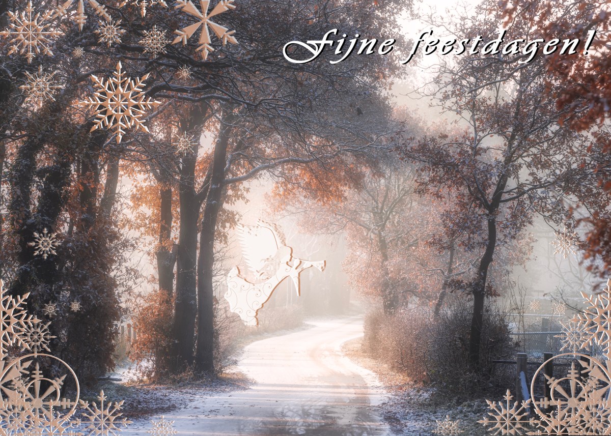 Season’s Greetings