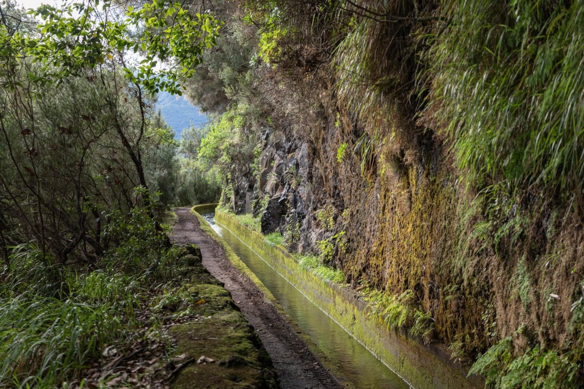 Madeira 4: Levada da Ribeira da&nbsp;Janela