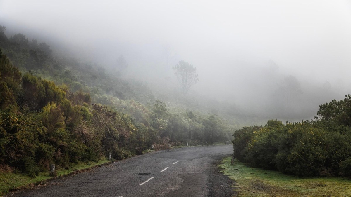 Madeira 6: The misty&nbsp;highlands