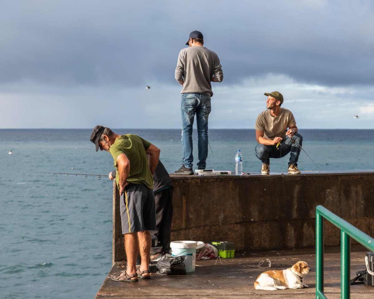 Madeira 8: No Cascata dos&nbsp;Angos