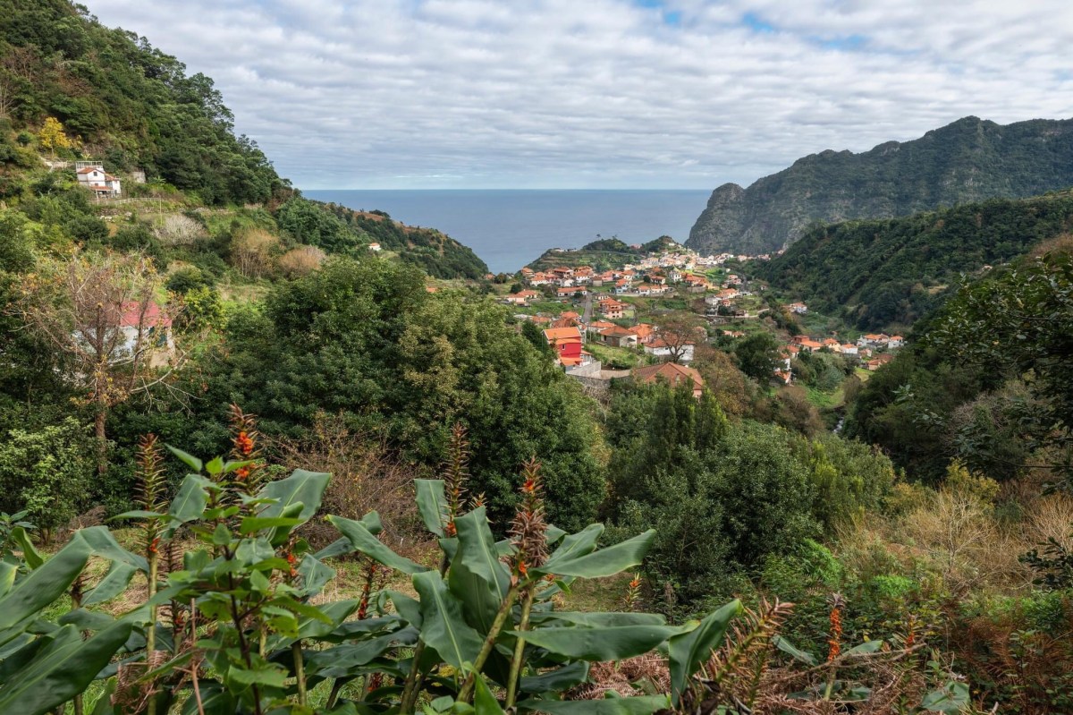 Madeira 12: Boaventura