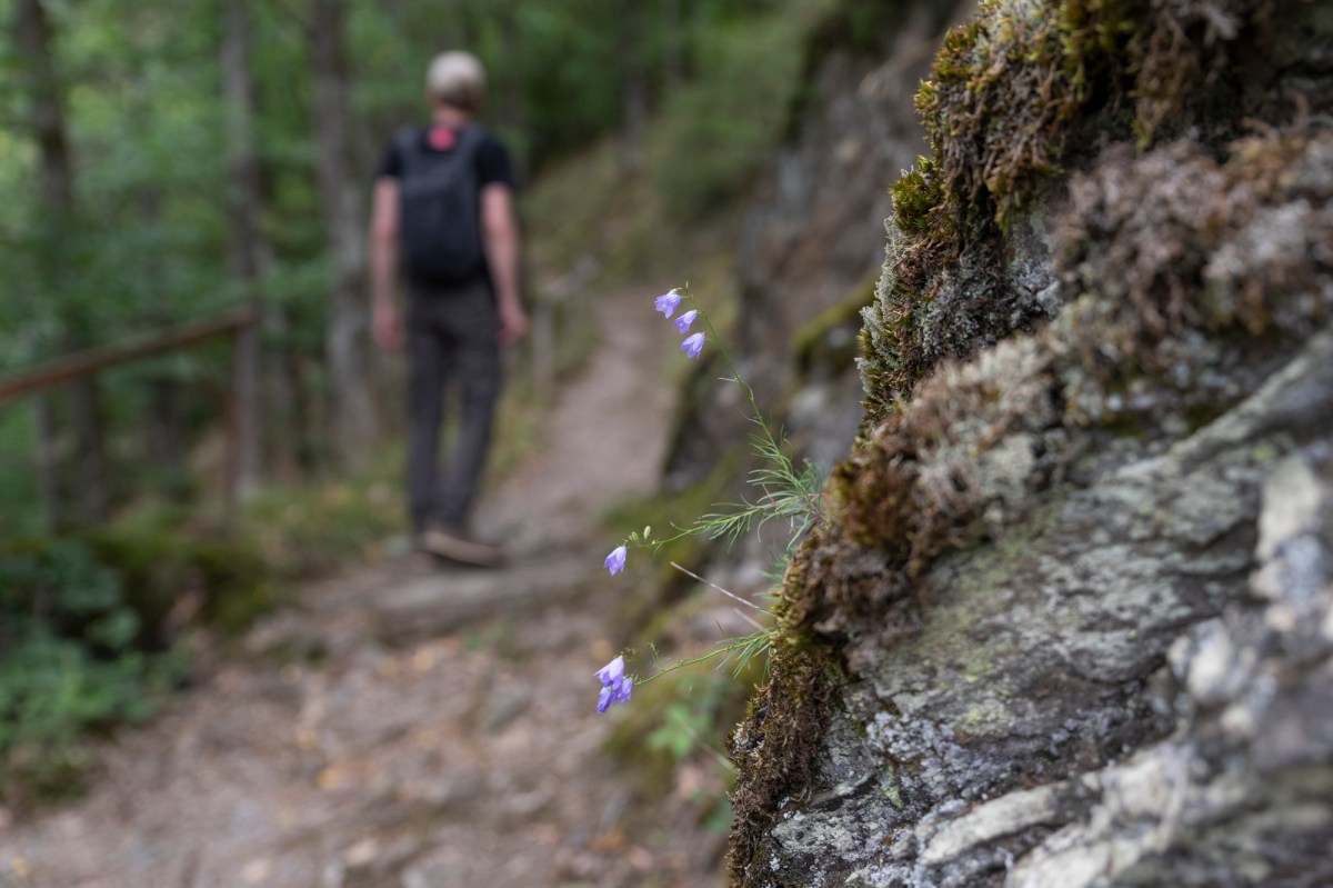 Waterfall experience