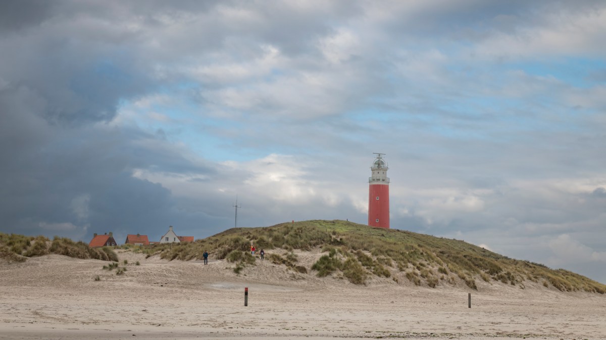 Texel